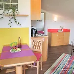 Panorama 아파트 람자우 암 다흐스타인