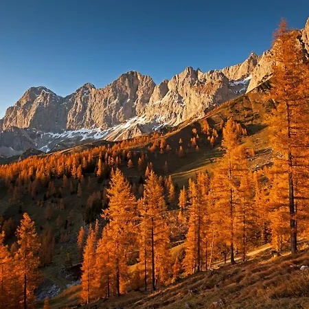 Panorama * רמסאו אם דכשטיין