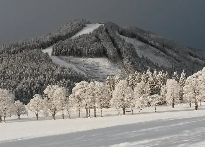 Lejlighed Panorama *